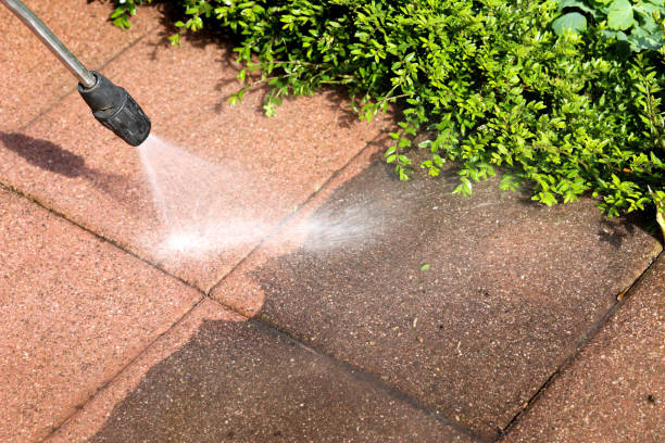 Best Pressure Washing Company Near Me  in Beecher, IL